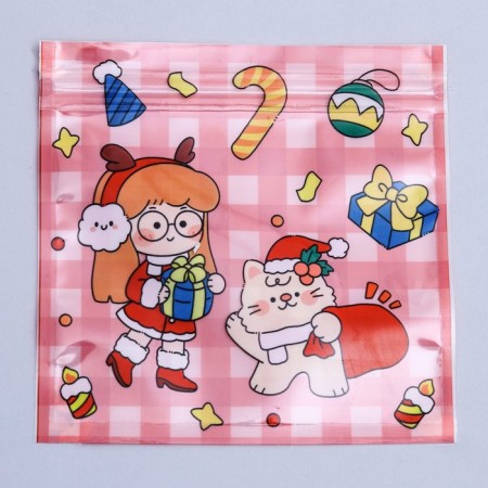 Gift package, with zip-lock fastener 13.5 x 13.5 cm-1