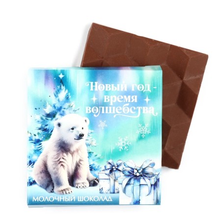 Chocolate in the box "New Year-time of magic", 50 g