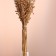 A set of dried flowers "Lenon-debunge", banch length 55-60 (+/- 6 cm), natural