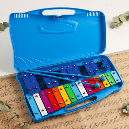 Musical tool Music Life, 25 tones, case, 2 sticks, blue