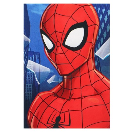 Gift set for a boy, 10 items, Spider-Man-13