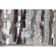 Rectangular carpet Genova 38308, size 240x340 cm