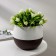 Flower Pot "Japan" 1.2 l, white, white-tone brown