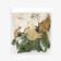Shar Latex 12 "" From other botany ", pastel, chrome, mix, set of 50 pcs.