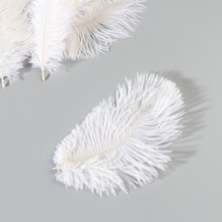 A set of ostrich feathers 10-15 cm, 10 pcs, white-3