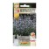 Flower seeds Dushevik "Mountain Mint" Marvelite Blue, 7 pcs