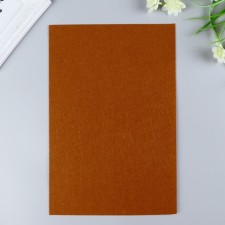 Hard felt 1 mm 20x30 cm St.