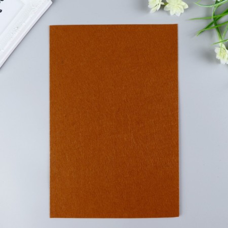 Hard felt 1 mm 20x30 cm St.