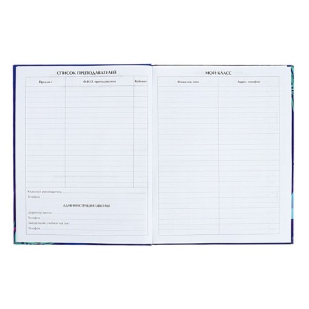 Diary for grades 5-11 "Modern wyb. Be cooler!", Firm cover, glossy lamination, 48 sheets-4