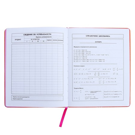 Universal Diary Grade 1-11, 48 sheets "Orange", solid cover of artificial leather, foil embossing-15