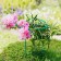 Builder for flowers, d = 40 cm, h = 80 cm, leg d = 1 cm, metal, green
