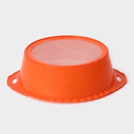 Plastic sieve, 25 × 22 × 7 cm, color mix-8