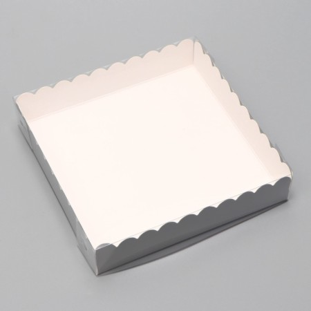 Cookie box, silver, confectionery packaging, 15 x 15 x 3 cm set 5 pcs-1