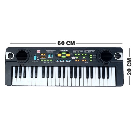 Synthesizer "Music-2" with FM radio, a microphone, 44 keys, works on a network and from batteries-1