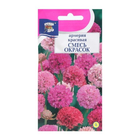 Flowers of Armeria Beautiful "mixture", 0.05 g