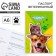 Veterinary passport international universal "Cat and dog"
