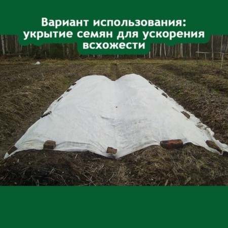 Covering material, 8 × 2.8 m, density 25 g/m², with UV stabilizer, white, Raifenhauser-2