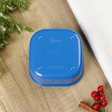 Lunch box “Winter to dream”, 700 ml-4