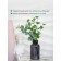 Flower composition "Eucalypt" in a bottle vase, green color / chocolate