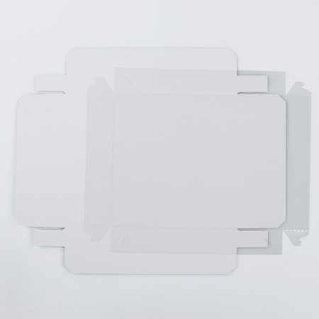 Box with a transparent lid white, 26 x 21x 4 cm-1