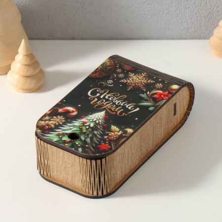 Caste-Kniga "Happy New Year" 13x7x4 cm