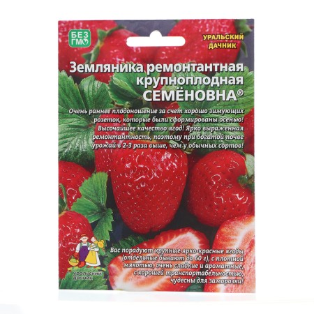 Strawberries "Semenovna", 10 pcs