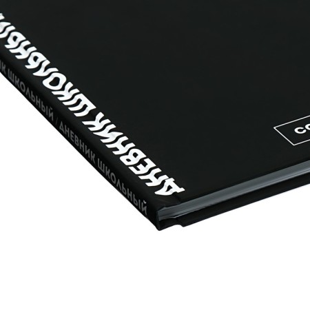 School diary for grades 1-11, 48 sheets "Main", solid cover, "software", universal cheat sheet, block 65g/m2-2