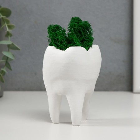 Concrete Kashpo "tooth" with moss white 7.5x6.5x9.5 cm (moss green stabilized)-1