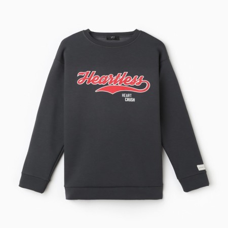 A sweaty female sweatshirt with the basis of Mist Cozy Style, graphite, size 60-7