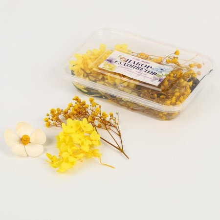 Set of dried flowers "Summer mood"
