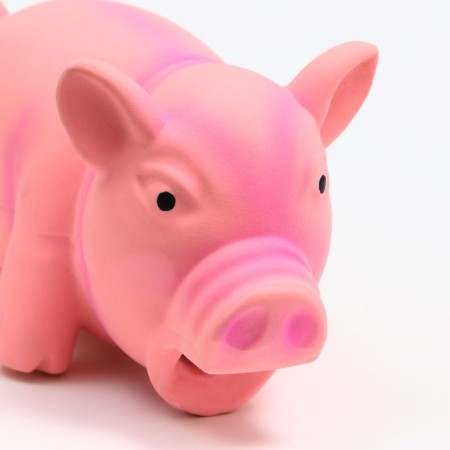 Grunting toy for dogs from latex "Piggy", 16 cm, pink-3
