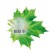 Decoration on the adhesive tape "Maple leaf" Green, 18x18 cm