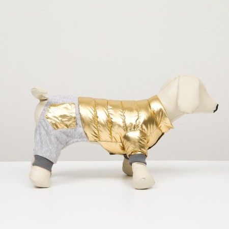 Kombinozon "Cosmonaut", size 14 (DS 32 cm, OG 42 cm, Osh 31 cm), golden-1