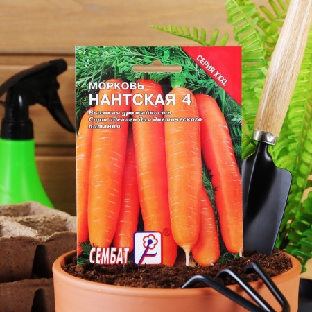 XXXL seeds "Nanta 4", 10 g-2