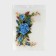 Thermalrotransfer "Flowers", 12 × 18 cm
