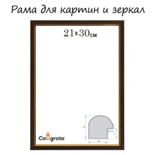 Frame for paintings (mirrors) 21 x 30 x 1.2 cm, plastic, calligrata pkm, beech