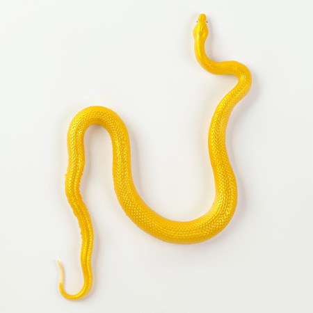 Rubber snake "Jikik", species mix-2