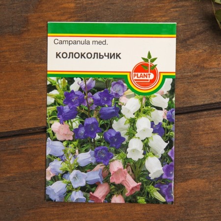 Set of flowers "flowering in the summer"-1
