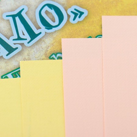 A3 pastel folder, 8 sheets, 4 colors "Country of Wonders. Scarecrow", block 160 g/m²-2
