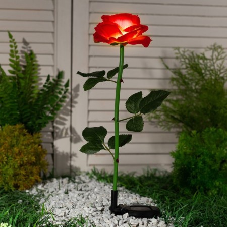 Garden lamp on the sunny battery "Rose Red", 75 cm, 5 LED, glow of white-1