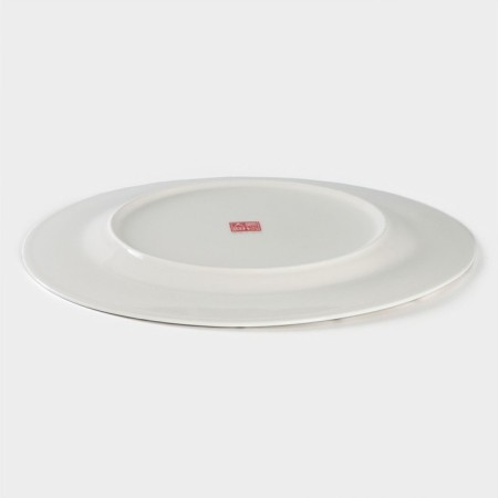 Porcelain dining Porcelain "Aurora", d = 27 cm, white color-2