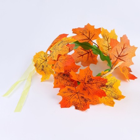 Carnival set "Autumn Fairy": skirt, wings, wreath-9