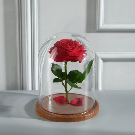 Glass dome -slosh on a wooden stand "Vincent - 1", 20x15 cm, brown-1