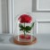 Glass dome -slosh on a wooden stand "Vincent - 1", 20x15 cm, brown