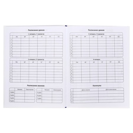 Diary of a solid cover 1-11 grade 48 sheets, "space cat", cardboard cover 7BC, matte lamination, selective UV-fluid, cheat sheet-6