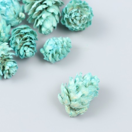 Decor for creativity "Pine mint bump" size 2-4 cm-1