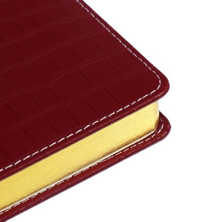 Dated diary 2024 A5 176 sheets, Devente.wild, Firmly covered with artificial leather, gold cut, lies, cream block 70 g/m2, burgundy block-5