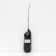 Mulberry black "Nigra" 1 pc, tube, spring 2025