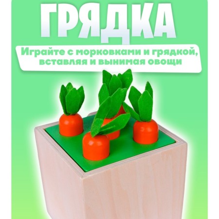 Logical center 5 in 1 "Play and develop"-3