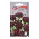 Flower seeds Vasille "Kallic", red, 0.1 g.